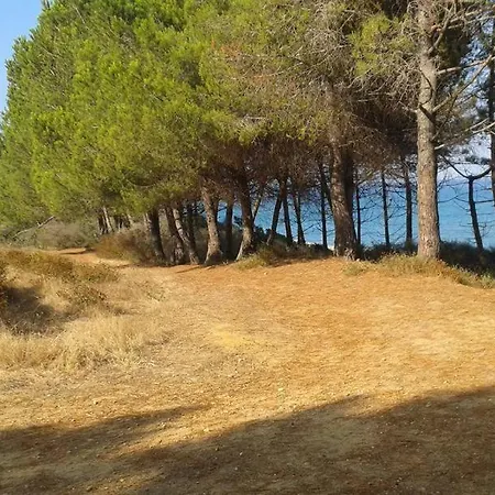 Les Jardins De La Mer - Piscine - Bord De Mer *